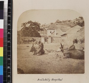 View of Analakely hospital, Madagascar, ca. 1865-1885