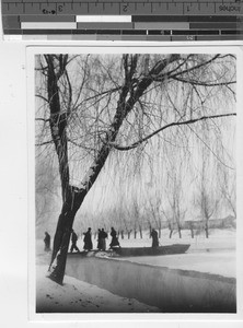 A winter scene in China, 1936