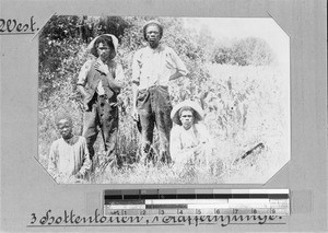 Group of three men and a boy of African origin, South Africa