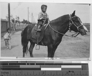 A small child rides a horse at Fushun, China, 1928