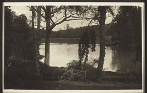 Lake near Ooty, Nilgiris