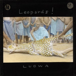 Leopard, Lubwa, Zambia, ca.1905-ca.1940