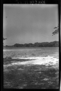 Plain near Manjacaze, Mozambique, ca. 1933-1939