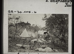 Camping place of a farmer out hunting