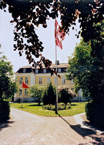 Reception at DMS, Strandagervej 23, Hellerup. 17 June 1996