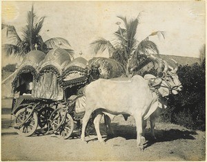 Carriage for rich mohameddan women