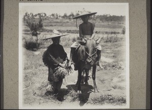 A buffalo-herder and his female companion