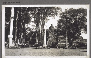 A buddhist temple more than 1000 years old, in Java