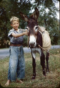 Burro and Mexican owner