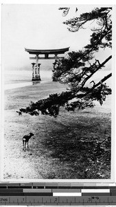 Torii in an open field, Japan, ca. 1920-1940