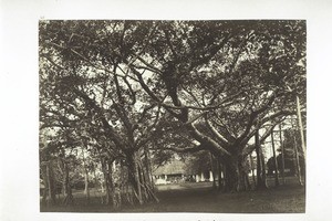 The house of the English judge on Lighthouse Hill in Mangalore