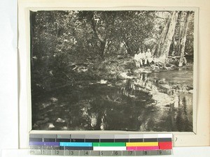 Spring water in the forest, Ranozaza, Amboboke, Madagascar, 1935