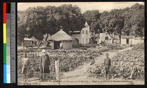 Workers in the Mission garden, Senegal, ca.1920-1940