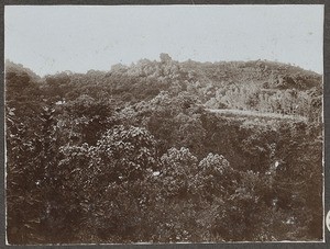 Densely wooded hills, Tanzania