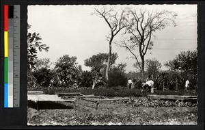 Cistercian monastery garden, Benin, ca.1920-1940