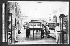 Large exhibition room, Jinan, Shandong, China, ca.1920