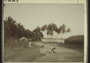 Mending nets on the beach at Cannanore