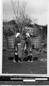 Two women carrying baskets on their backs, Japan, ca. 1920-1940