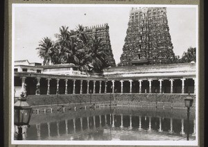 Golden Lily pool in the temple in Madura