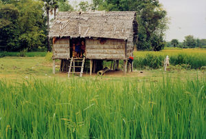 Scener og mennesker fra landsbyen Preah S'Dach. Parcelhus i Cambodia