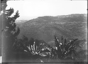 Landscape near Lemana, Limpopo, South Africa, ca. 1906-1907