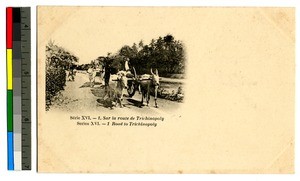 Wagons pulled by oxen, Tiruchchirappalli, India, ca.1920-1940