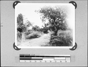 A road in the countryside, Utengule, Tanzania, 1938