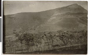 Tulu Welel, Ethiopia, 1929-04-08