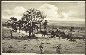 Blick von Buea auf die Küste