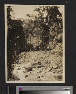 Thuchi River, Kenya, September 1926