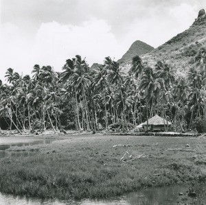 A Polynesian landscape, a view from a lagoon