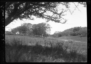 Landscape near Manhiça, Mozambique