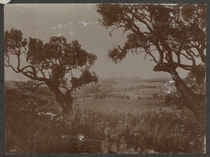 Landscape view, Tanzania