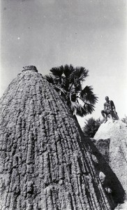 Musgum hut, in Cameroon