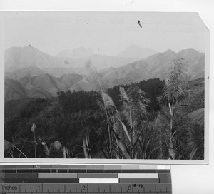 A view of Kwangsi mountains from Koo Peng Village at Pingnan, China, 1929