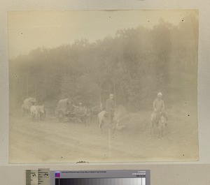 Mr MacIntyre on the road, Liaoning, China, ca.1889