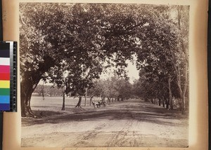 View of parade ground and horse and cart on road, Vizianagaram, Andhra Pradesh, India, ca.1885-1889