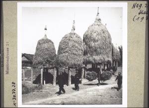 Frauen a. d. Weg z. Markt