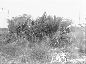 African man, Matutwini, Mozambique, ca. 1896-1911