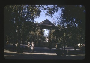 people walking in a park