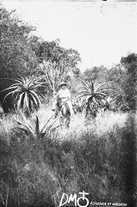Swiss missionary on horse, Antioka, Mozambique, ca. 1901-1915