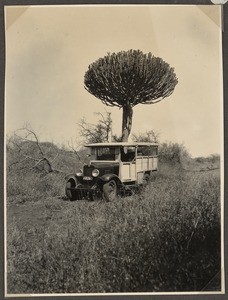 Truck in brush landscape, Tanzania, ca.1929-1940