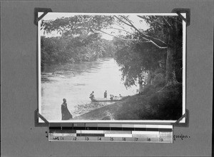 Kiwira River, Ipyana, Tanzania