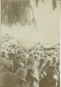 An outdoor gathering