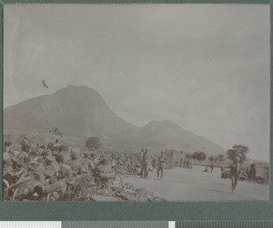 Column makes camp, Cabo Delgado, Mozambique, August 1918