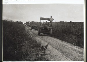 Dodowa / B.M.F. Lorries auf der Strasse von Accra nach Dodowa zur Abholung von Cocoa