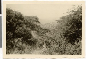 View into the valley between Gedo and Ambo, Ethiopia, 1952