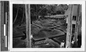 Maryknoll School air raid trenches, Punahou, Honolulu, Hawaii, 1942