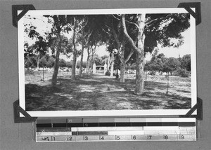 Graveyard, Elim, South Africa, 1934