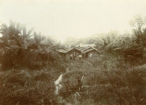 Uzo, fang village, in Gabon